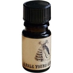 A Pale Young Gentleman